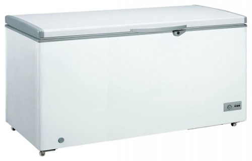 Refrigerator Gunter & Hauer GF 300 W larawan, katangian