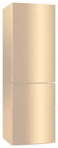 Refrigerator Haier CFL633CC larawan, katangian