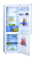 Buzdolabı Hansa FK295.4 fotoğraf, özellikleri