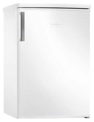 Refrigerator Hansa FM138.3 larawan, katangian