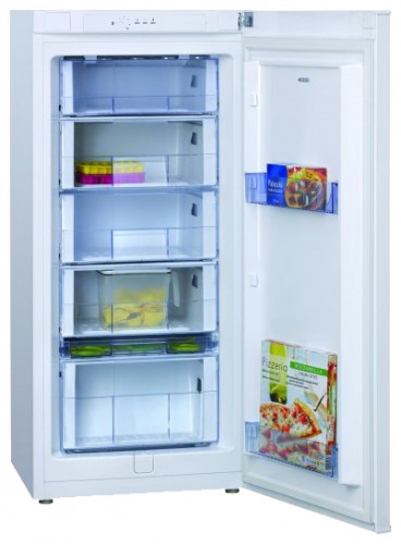 Ψυγείο Hansa FZ200BSW φωτογραφία, χαρακτηριστικά