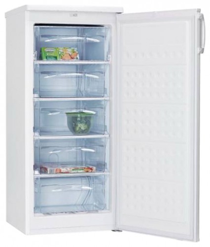 Buzdolabı Hansa FZ206.3 fotoğraf, özellikleri