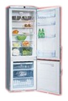 Refrigerator Hansa RFAK310iMН larawan, katangian