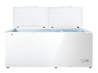 Refrigerator Hisense FC-66DD4SA larawan, katangian