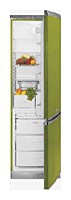 Kühlschrank Hotpoint-Ariston ERFV 402X GR Foto, Charakteristik
