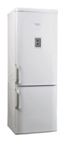Kühlschrank Hotpoint-Ariston RMBHA 1200.1 F Foto, Charakteristik