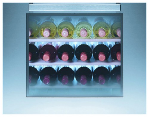 Refrigerator Hotpoint-Ariston WZ 24 larawan, katangian