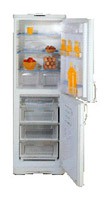Buzdolabı Indesit C 236 fotoğraf, özellikleri