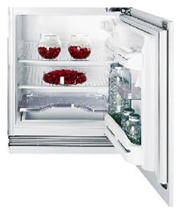 Kjøleskap Indesit IN TS 1610 Bilde, kjennetegn