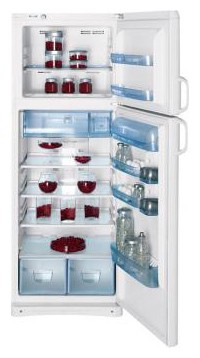 Buzdolabı Indesit TAN 5 FNF fotoğraf, özellikleri