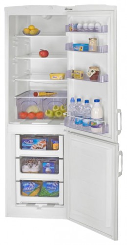Refrigerator Interline IFC 305 P W SA larawan, katangian