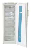 Kühlschrank Kelon RS-30WC4SFYS Foto, Charakteristik