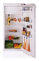 Buzdolabı Kuppersbusch IKE 238-4 fotoğraf, özellikleri