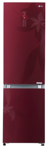 Buzdolabı LG GA-B489 TGRF fotoğraf, özellikleri