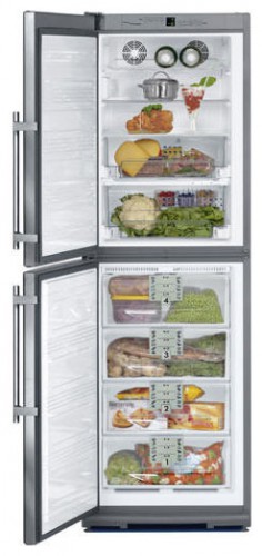 Kühlschrank Liebherr BNes 2956 Foto, Charakteristik