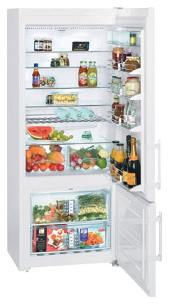 Refrigerator Liebherr CN 4656 larawan, katangian