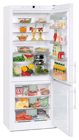 Refrigerator Liebherr CN 5013 larawan, katangian