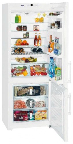 Refrigerator Liebherr CN 5113 larawan, katangian