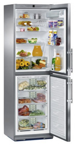 Refrigerator Liebherr CNes 3666 larawan, katangian