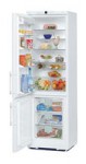 Kühlschrank Liebherr CP 4056 60.00x198.20x63.10 cm