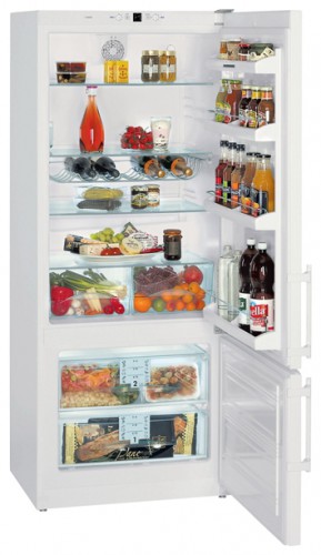 Refrigerator Liebherr CP 4613 larawan, katangian