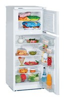 Kühlschrank Liebherr CT 2421 Foto, Charakteristik
