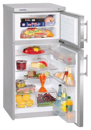 Buzdolabı Liebherr CTesf 2041 fotoğraf, özellikleri