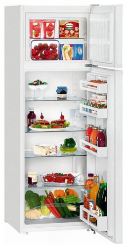 Buzdolabı Liebherr CTP 2921 fotoğraf, özellikleri