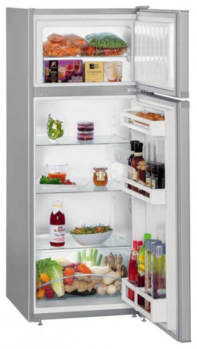 Buzdolabı Liebherr CTPsl 2521 fotoğraf, özellikleri