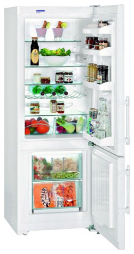 Refrigerator Liebherr CUP 2901 larawan, katangian