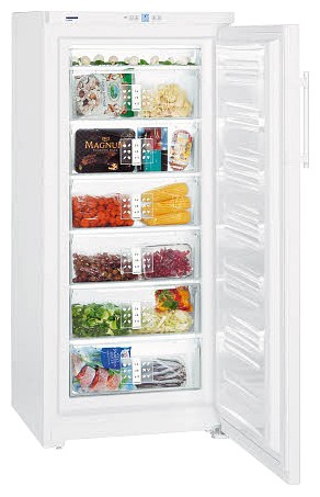 Холодильник Liebherr G 3013 фото, Характеристики