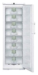 Refrigerator Liebherr G 31130 larawan, katangian