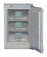 Buzdolabı Liebherr GI 1023 fotoğraf, özellikleri