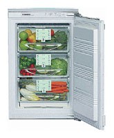 Tủ lạnh Liebherr GIP 1023 ảnh, đặc điểm