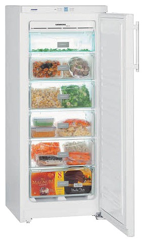 Kühlschrank Liebherr GN 2303 Foto, Charakteristik