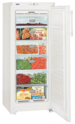 Buzdolabı Liebherr GN 2323 fotoğraf, özellikleri