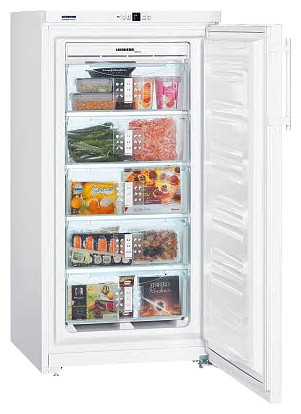 Refrigerator Liebherr GN 2613 larawan, katangian