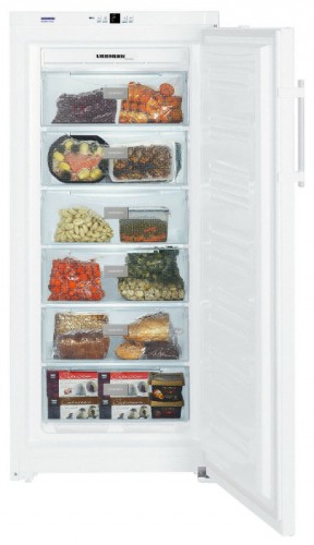 Buzdolabı Liebherr GN 3113 fotoğraf, özellikleri