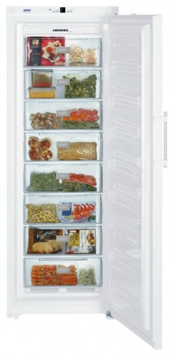 Kühlschrank Liebherr GN 4113 Foto, Charakteristik