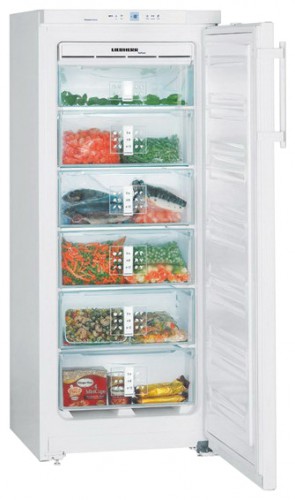 Kjøleskap Liebherr GNP 2356 Bilde, kjennetegn