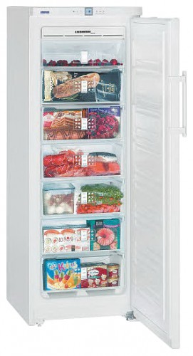 Tủ lạnh Liebherr GNP 2756 ảnh, đặc điểm
