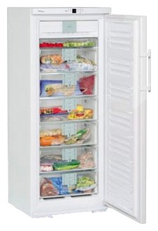 Refrigerator Liebherr GNP 2906 larawan, katangian