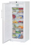 Холодильник Liebherr GNP 2906 66.00x164.40x68.30 см