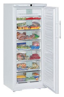 Buzdolabı Liebherr GNP 2976 fotoğraf, özellikleri