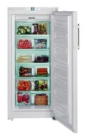 Buzdolabı Liebherr GNP 31560 fotoğraf, özellikleri