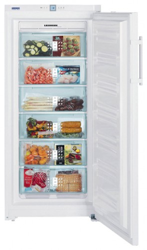 Ψυγείο Liebherr GNP 3166 φωτογραφία, χαρακτηριστικά