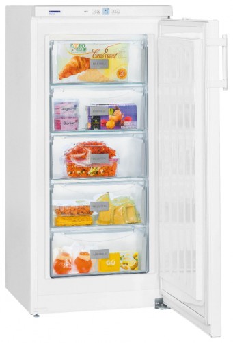 Refrigerator Liebherr GP 2033 larawan, katangian