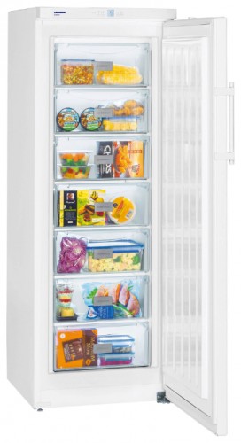 Refrigerator Liebherr GP 2733 larawan, katangian