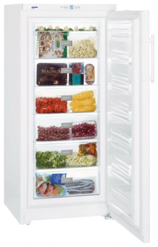 Refrigerator Liebherr GP 3013 larawan, katangian