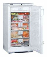 Холодильник Liebherr GSN 2026 фото, Характеристики